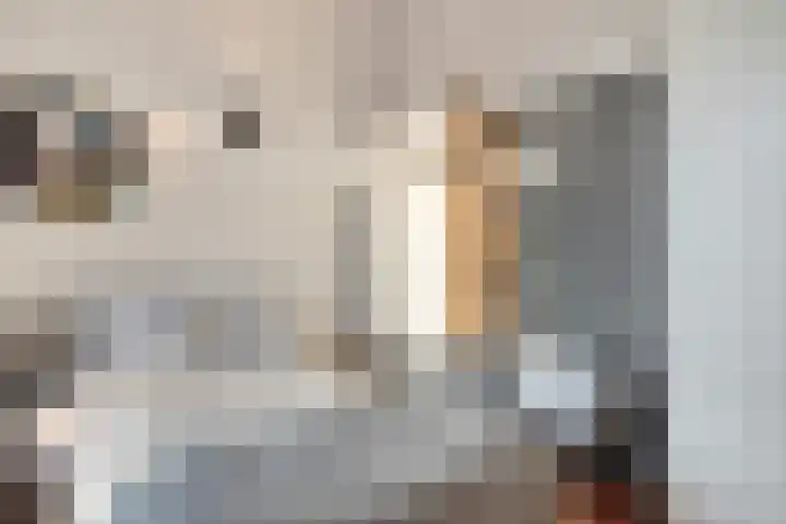 Umefors 21 Schiedam thumbnail 23