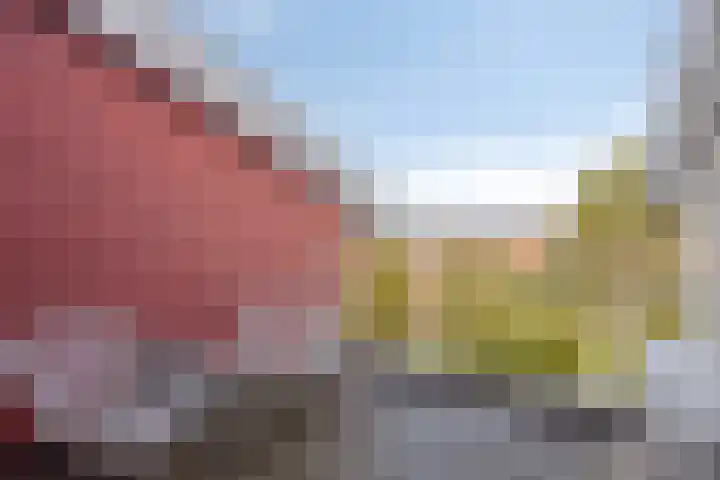 Umefors 21 Schiedam thumbnail 27