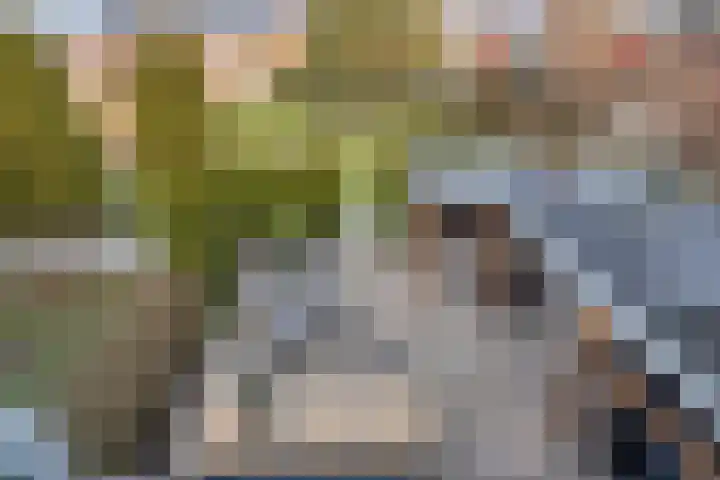 Umefors 21 Schiedam thumbnail 28