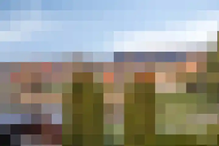 Umefors 21 Schiedam thumbnail 29