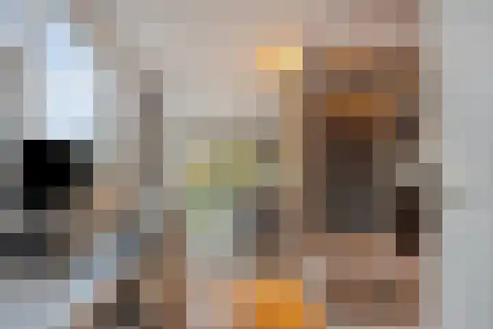Umefors 21 Schiedam thumbnail 30