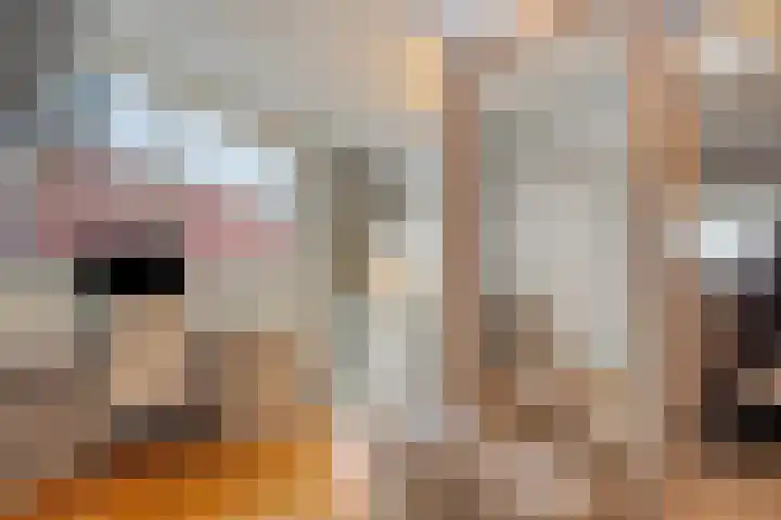 Umefors 21 Schiedam thumbnail 32
