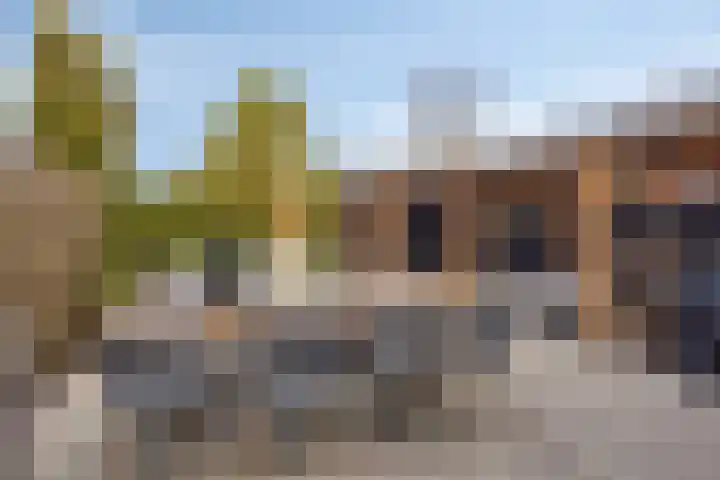 Umefors 21 Schiedam thumbnail 33