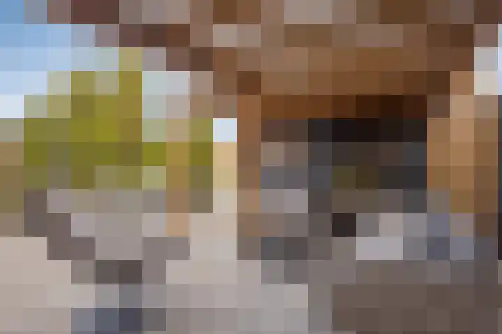 Umefors 21 Schiedam thumbnail 36