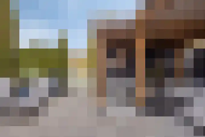 Umefors 21 Schiedam thumbnail 37