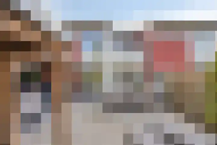 Umefors 21 Schiedam thumbnail 39