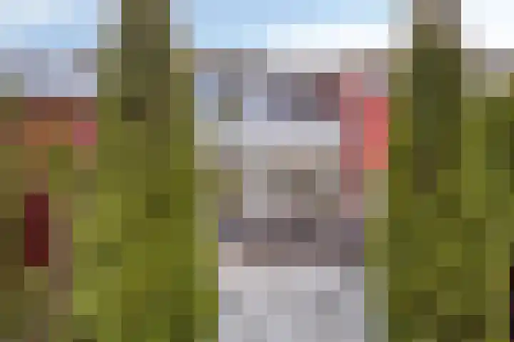 Umefors 21 Schiedam thumbnail 40
