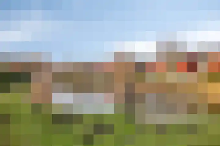 Umefors 21 Schiedam thumbnail 42