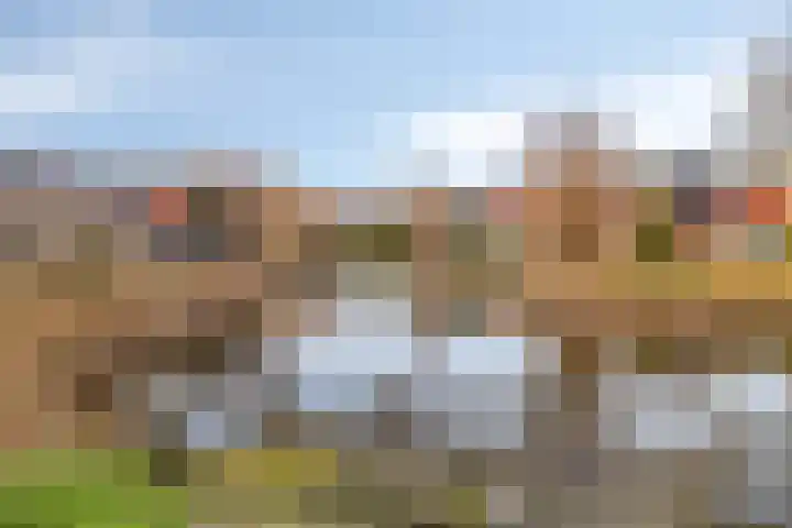 Umefors 21 Schiedam thumbnail 43