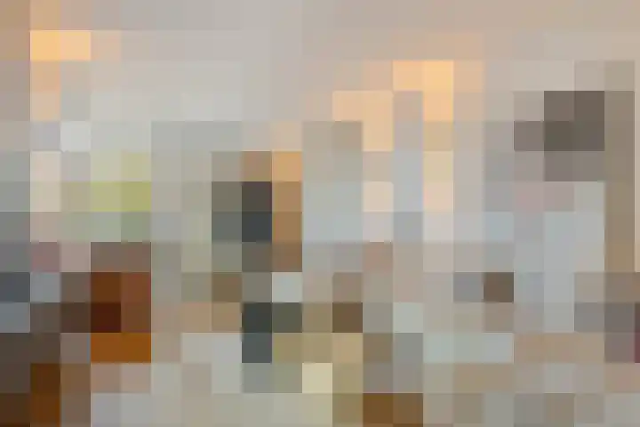 Umefors 21 Schiedam thumbnail 6