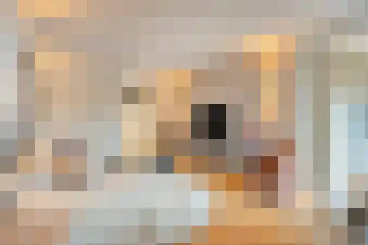 Umefors 21 Schiedam thumbnail 8