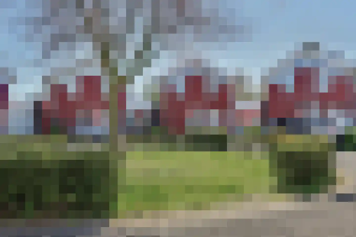 Umefors 8 Schiedam