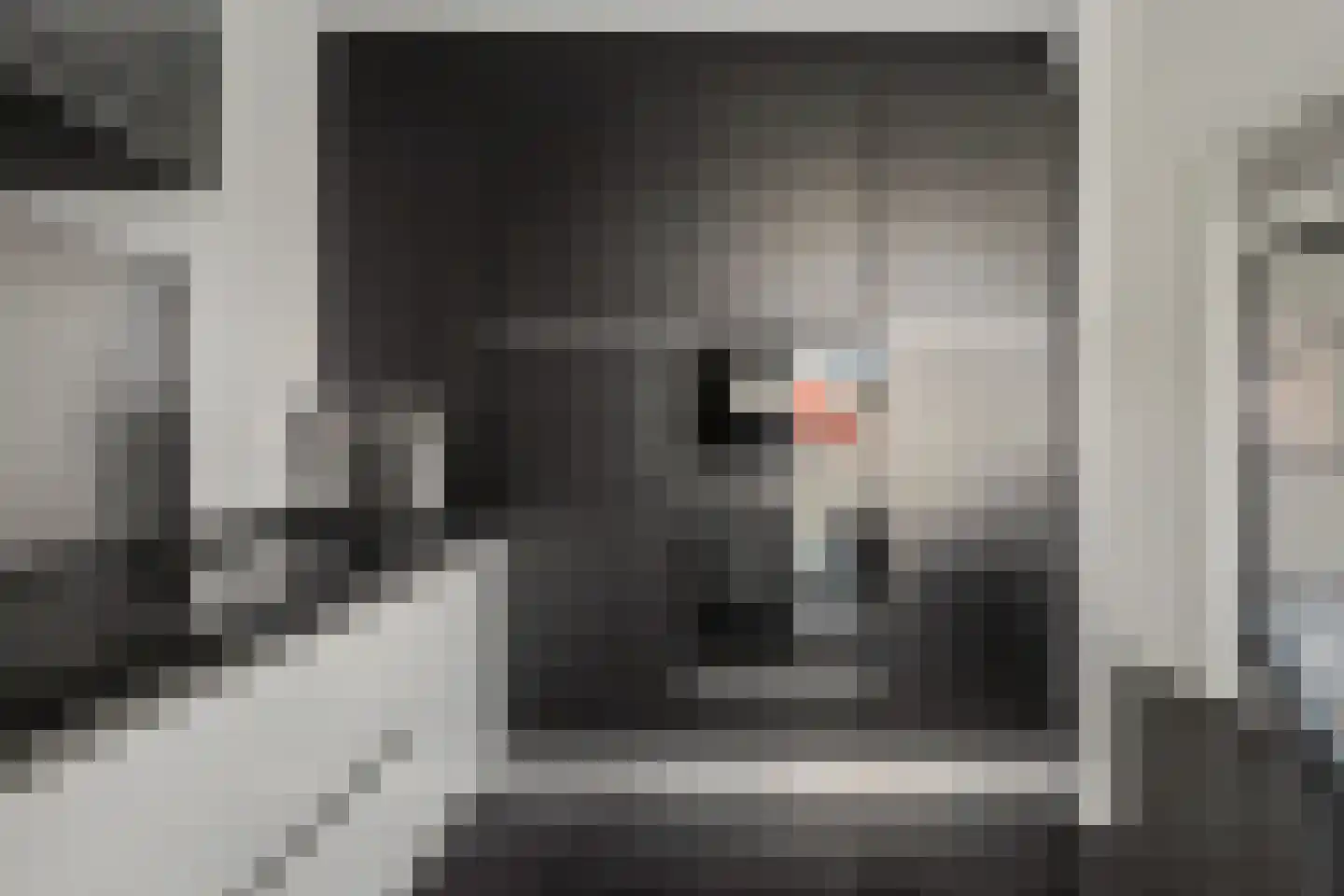 Umefors 8 Schiedam thumbnail 15