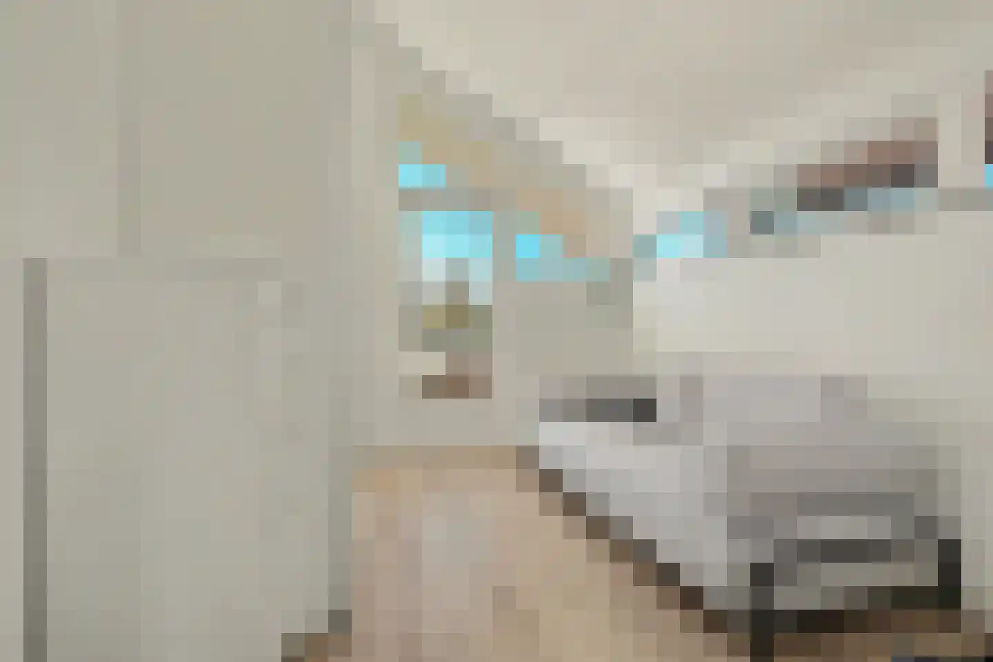 Umefors 8 Schiedam thumbnail 26