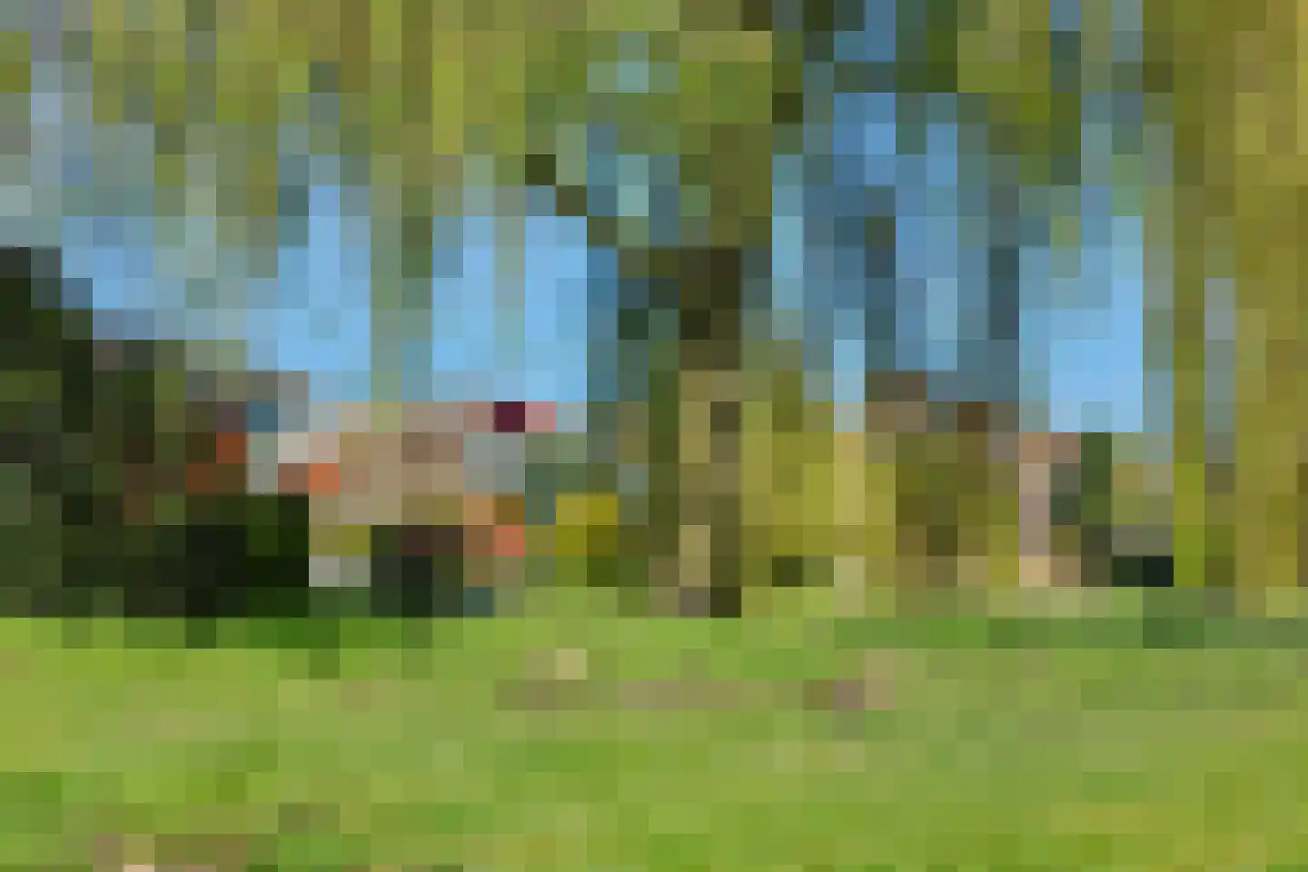 Umefors 8 Schiedam thumbnail 43