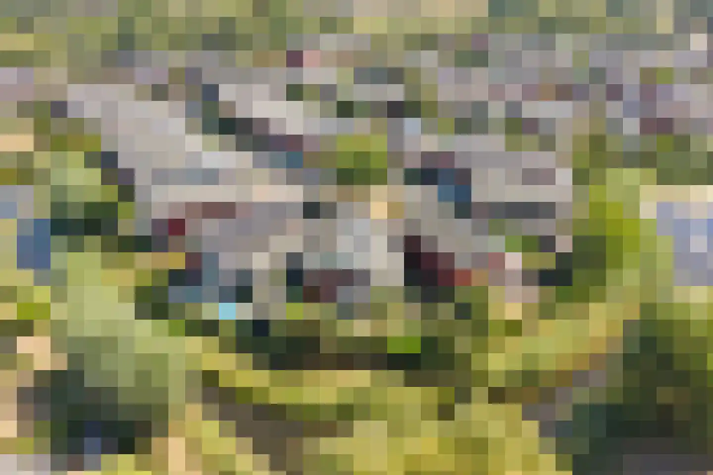 Umefors 8 Schiedam thumbnail 48