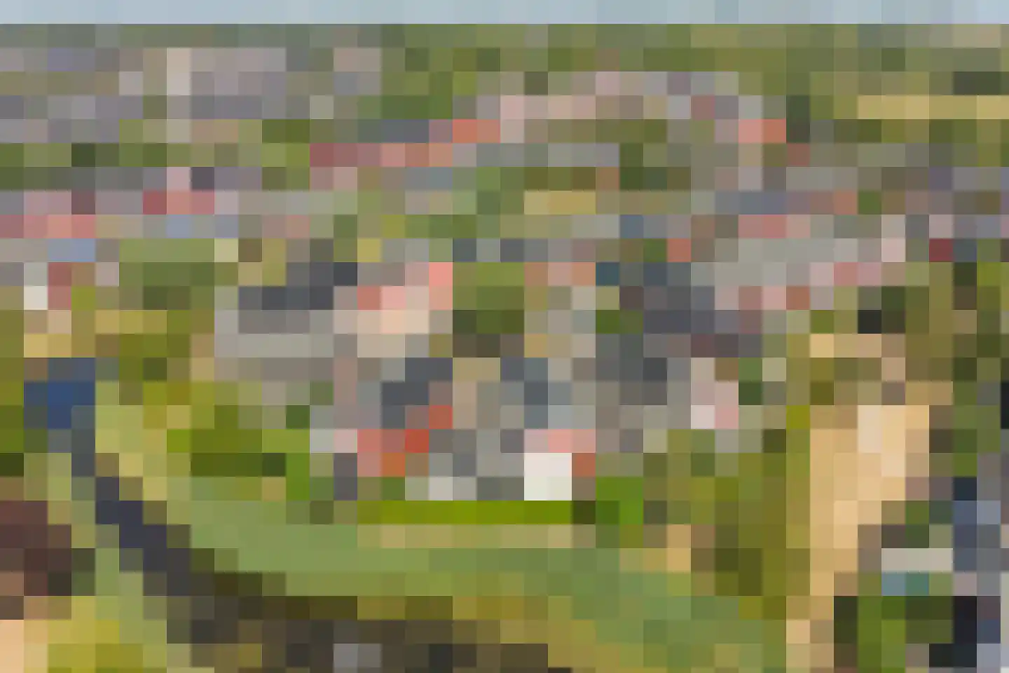 Umefors 8 Schiedam thumbnail 49