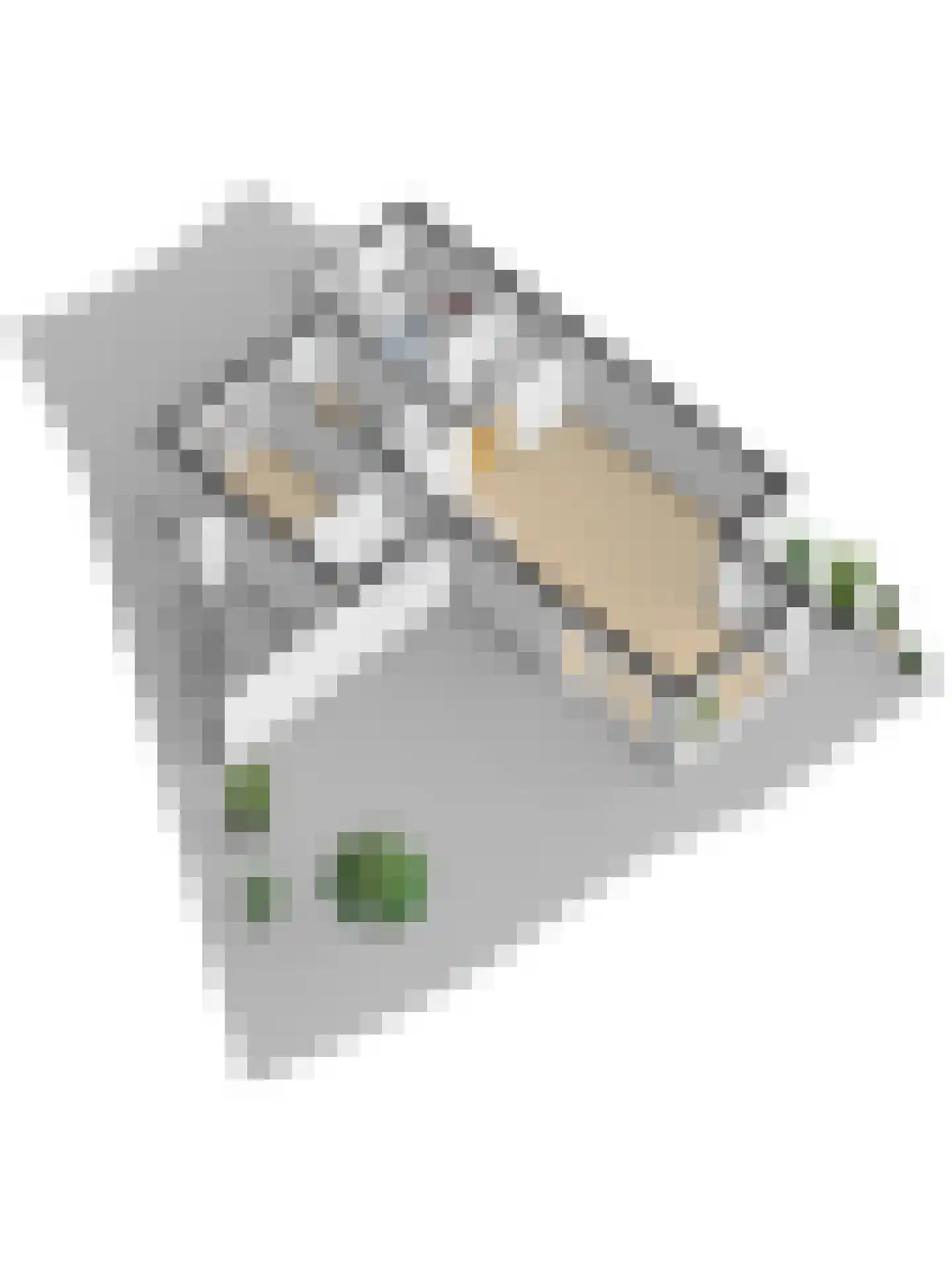 Umefors 8 Schiedam thumbnail 51