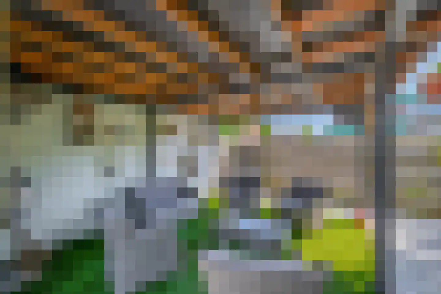 Una-Corda 23 Krimpen aan den IJssel thumbnail 29
