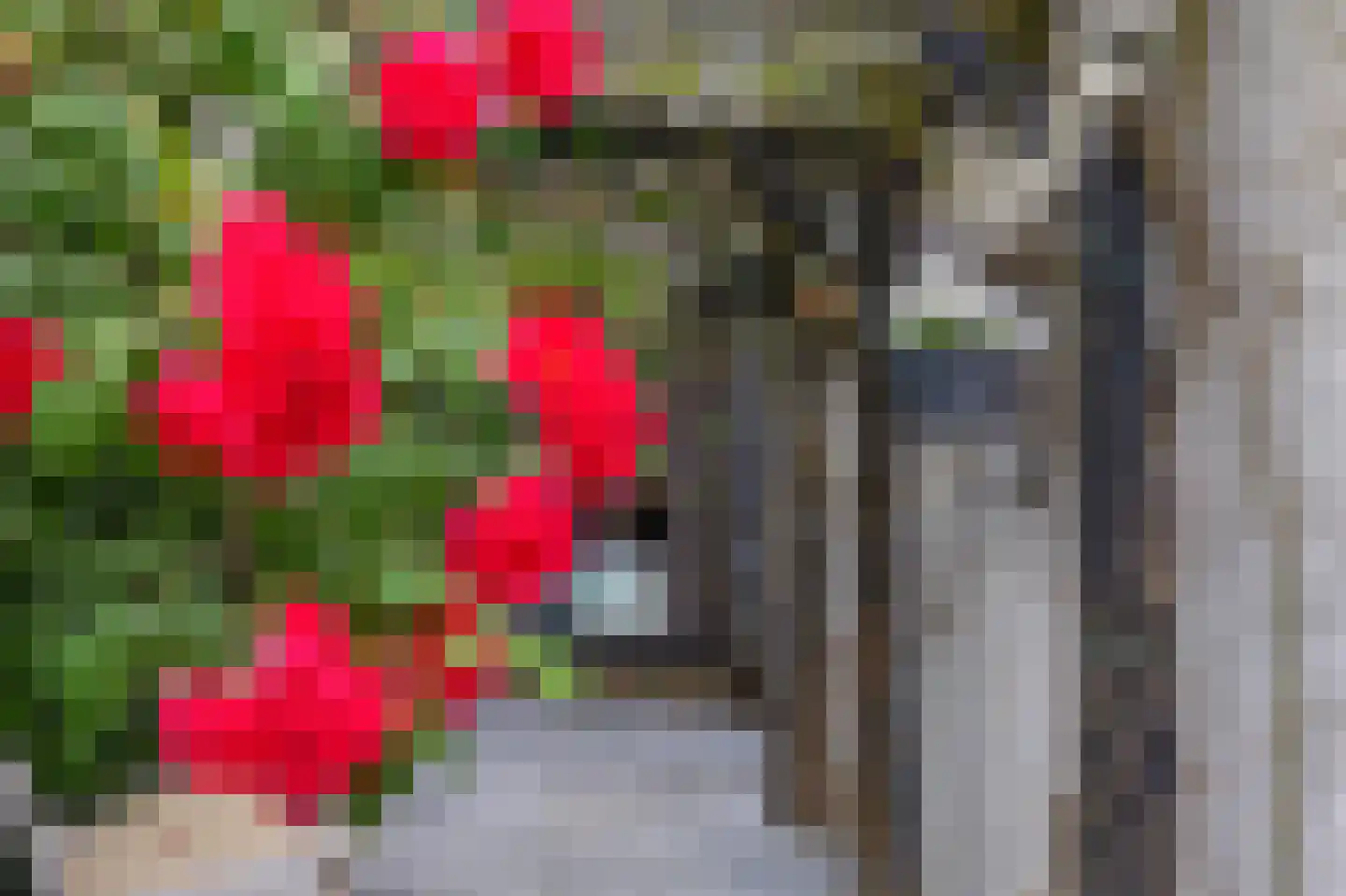 Una-Corda 23 Krimpen aan den IJssel thumbnail 34