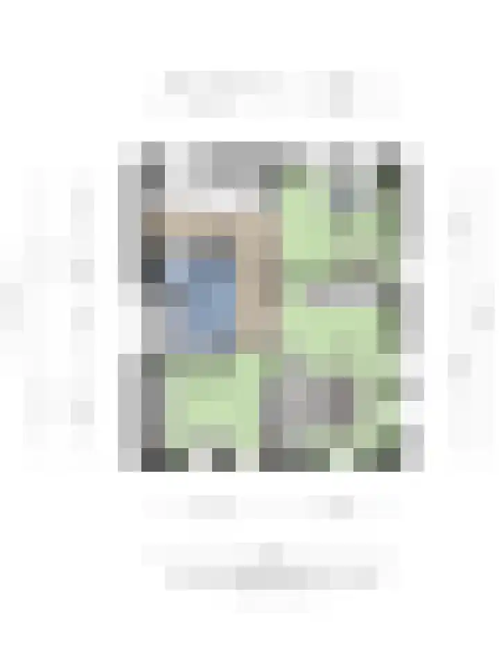 Unastraat 57 Valkenswaard thumbnail 32