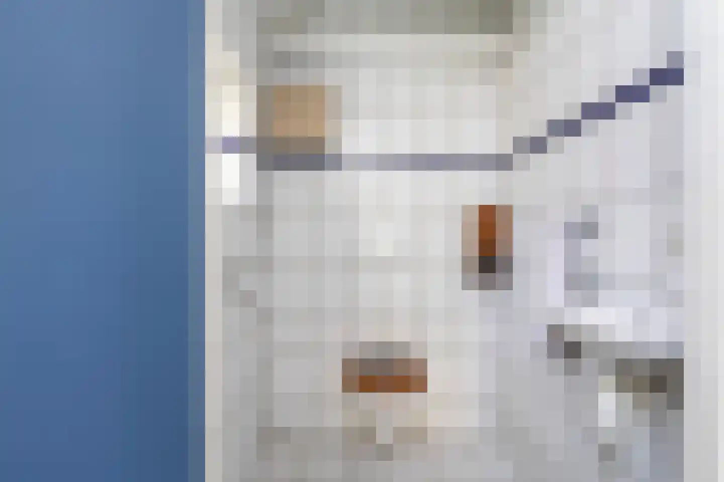 Unemastraat 10 Blije thumbnail 13