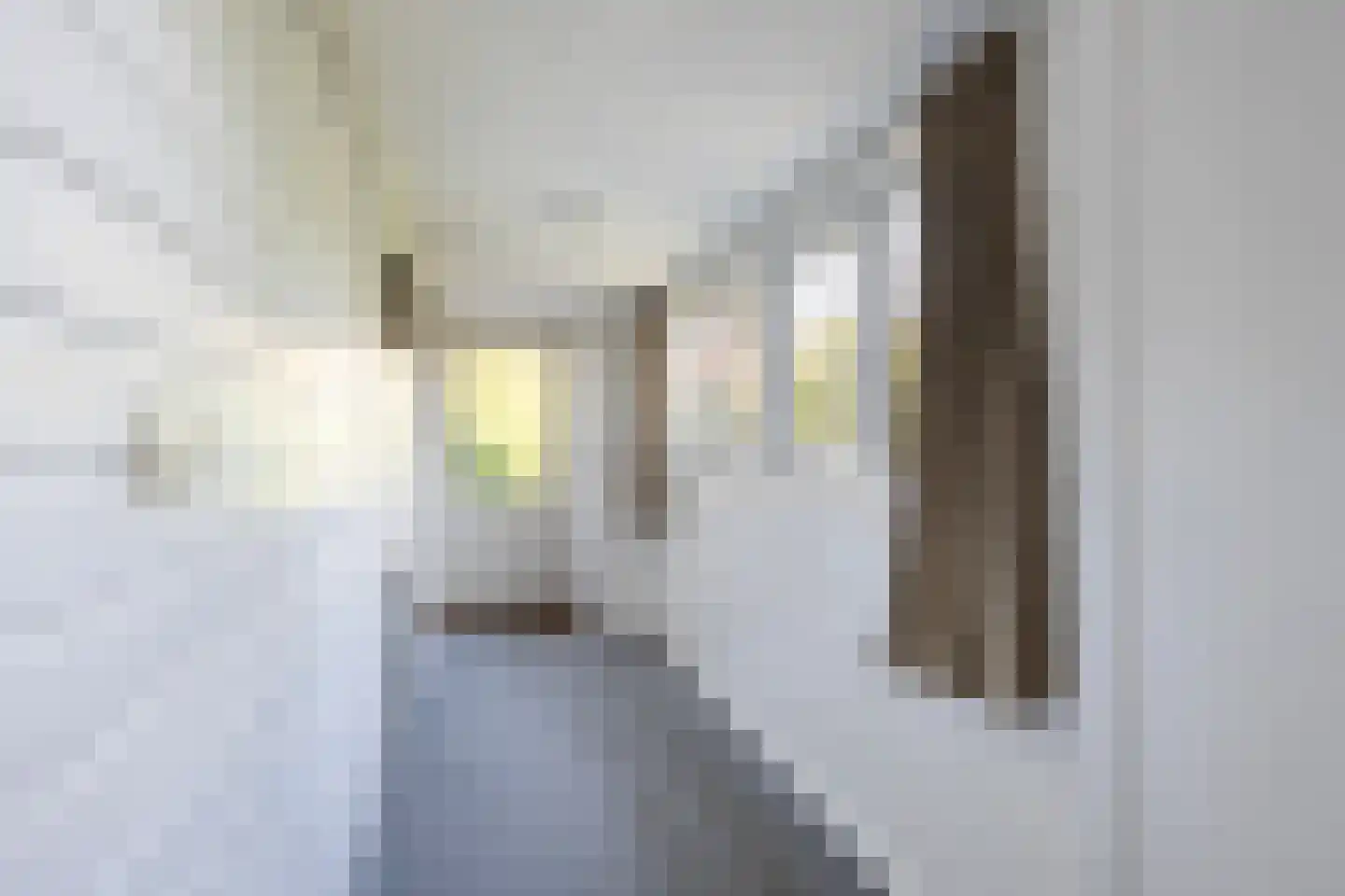 Unemastraat 10 Blije thumbnail 14