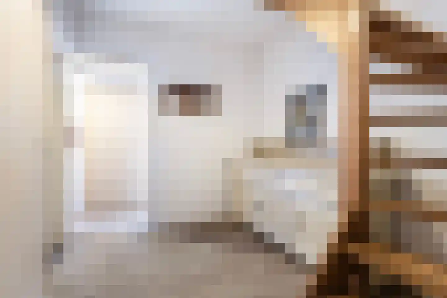 Unemastraat 10 Blije thumbnail 19