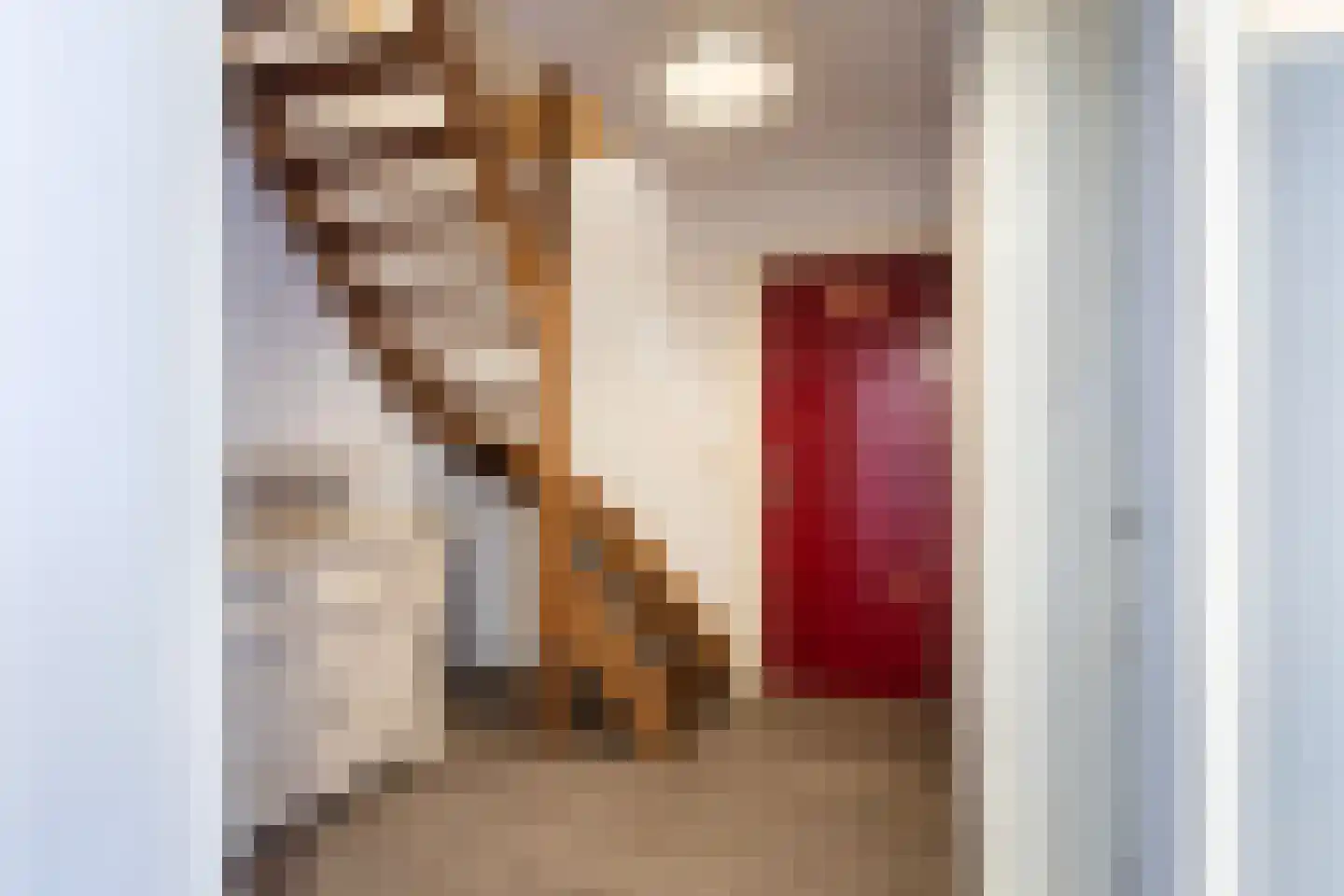 Unemastraat 10 Blije thumbnail 20