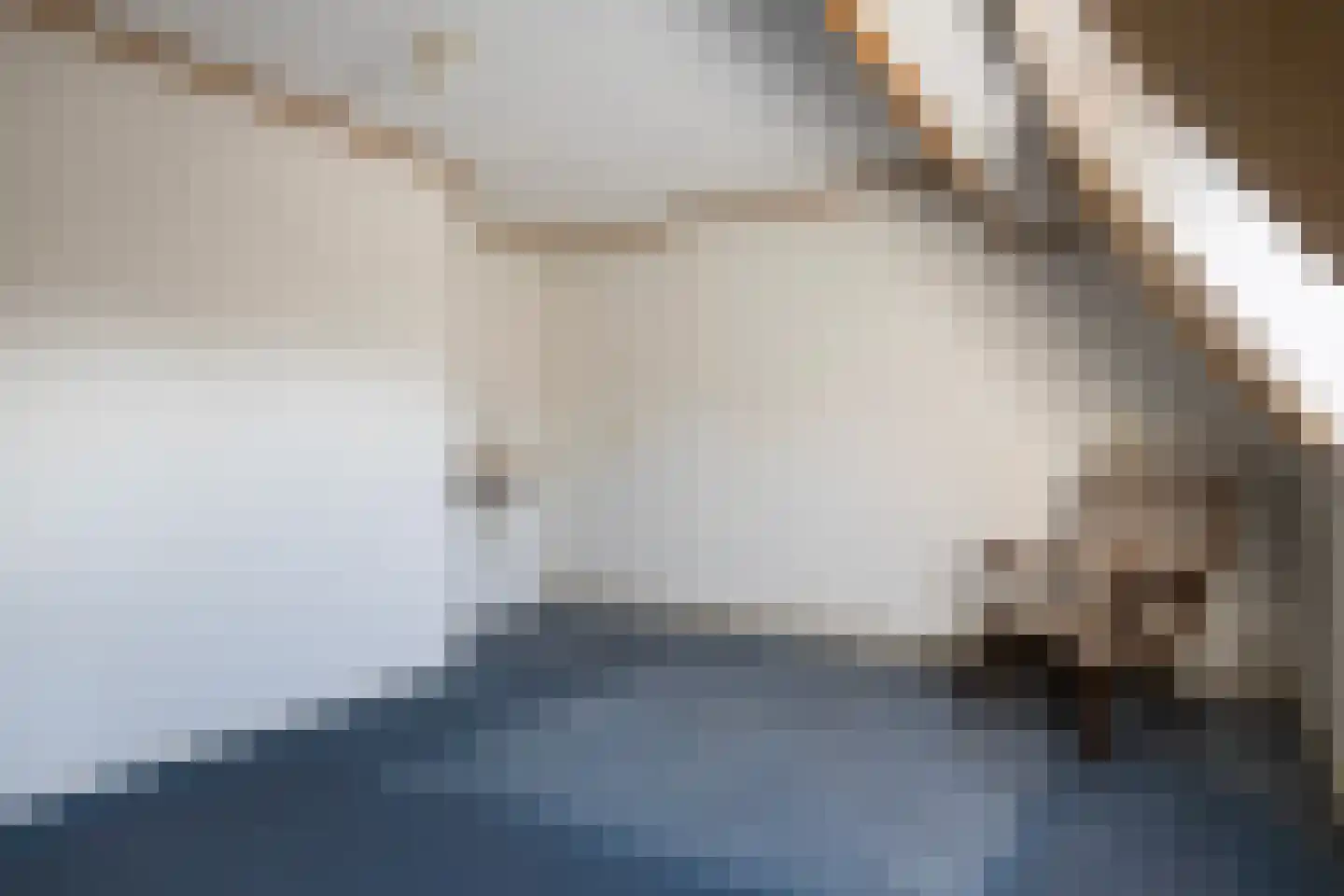 Unemastraat 10 Blije thumbnail 29
