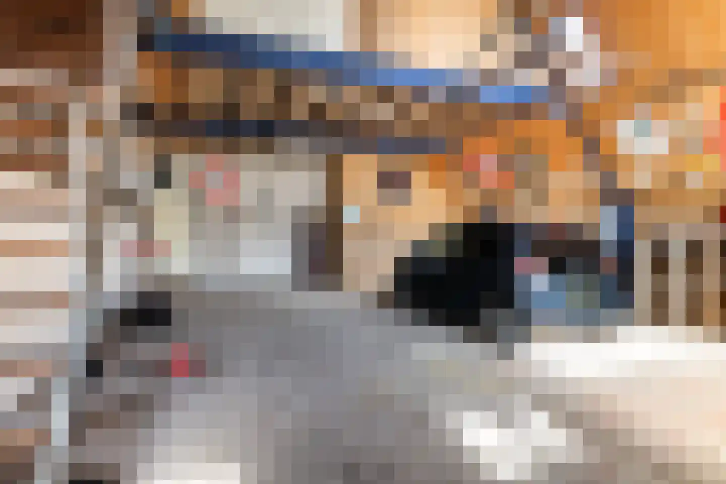 Unemastraat 10 Blije thumbnail 34