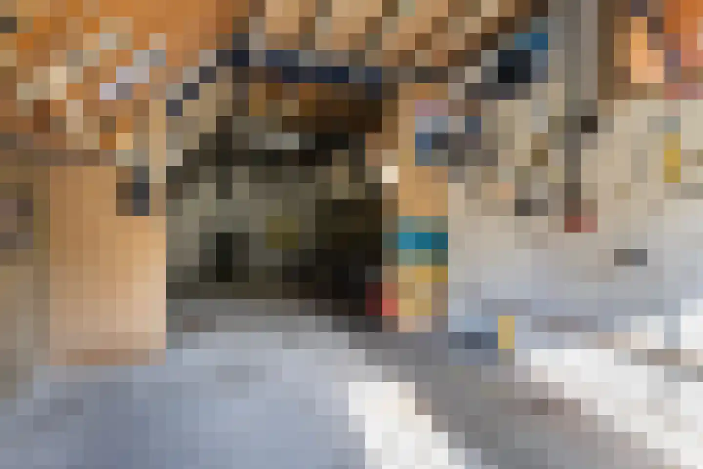 Unemastraat 10 Blije thumbnail 36