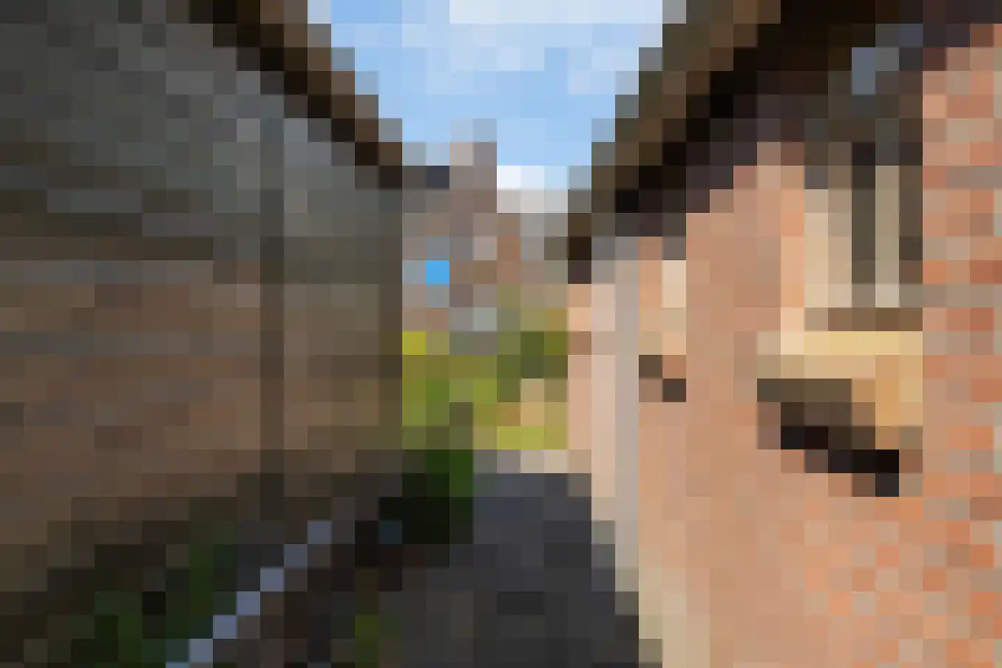 Unemastraat 10 Blije thumbnail 44