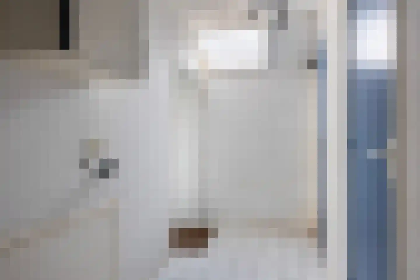 Unemastraat 10 Blije thumbnail 7