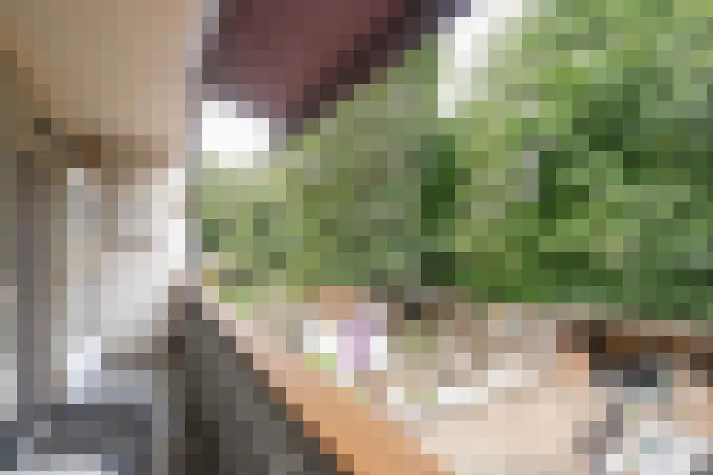 Unescoplantsoen 35 Heerlen thumbnail 18