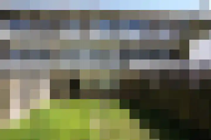 Unescoplantsoen 39 Heerlen thumbnail 12