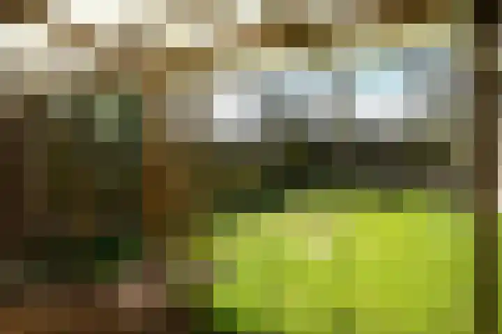 Unescoplantsoen 39 Heerlen thumbnail 13