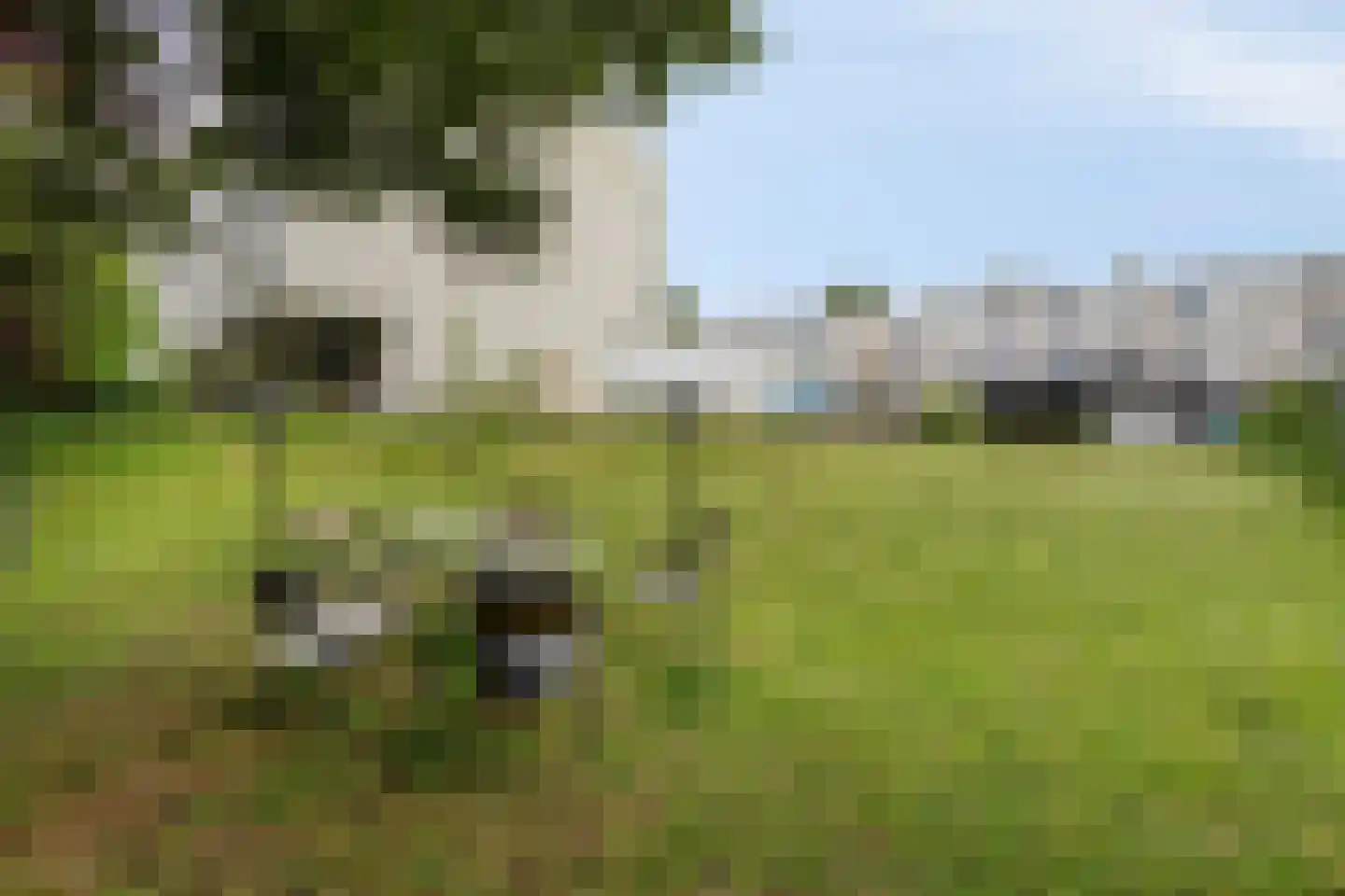 Unescostraat 11 Heerlen thumbnail 30