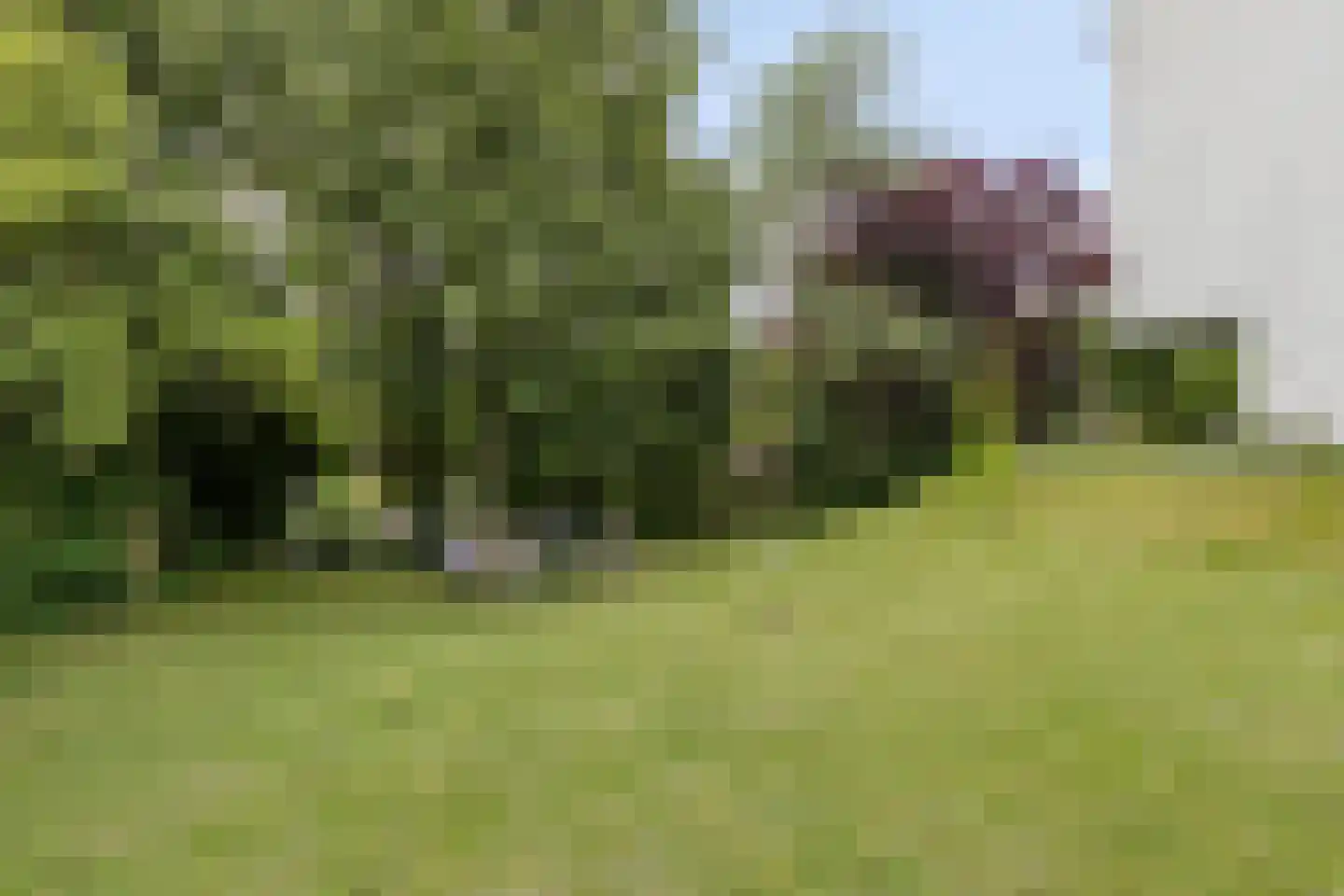 Unescostraat 11 Heerlen thumbnail 5