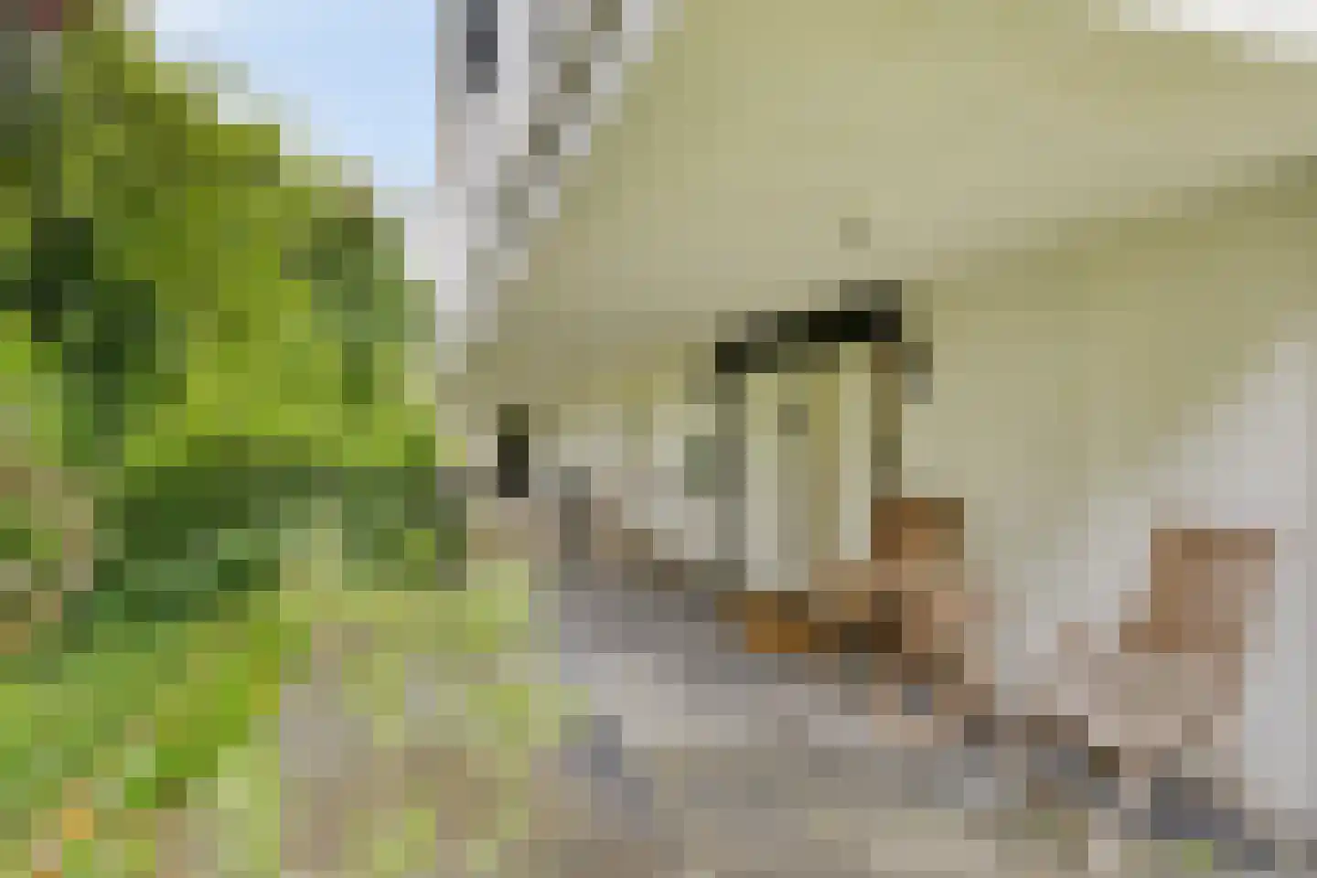 Unescostraat 11 Heerlen thumbnail 6