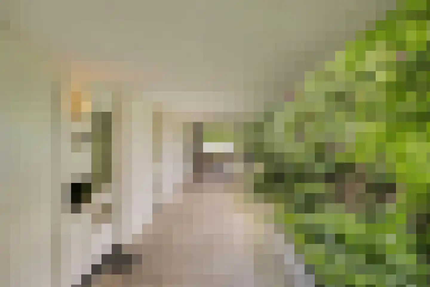Unescostraat 11 Heerlen thumbnail 9