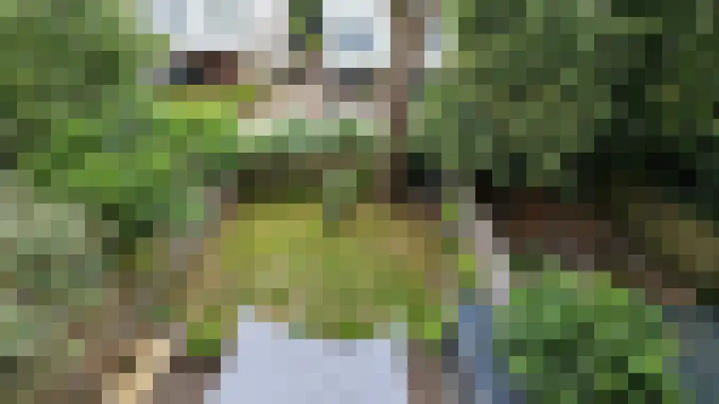 Unescostraat 136 Heerlen thumbnail 34