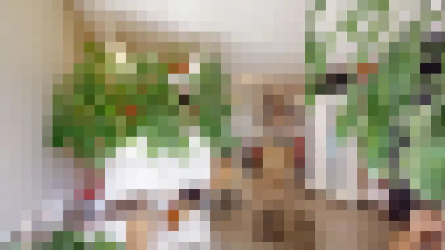 Unescostraat 136 Heerlen thumbnail 8