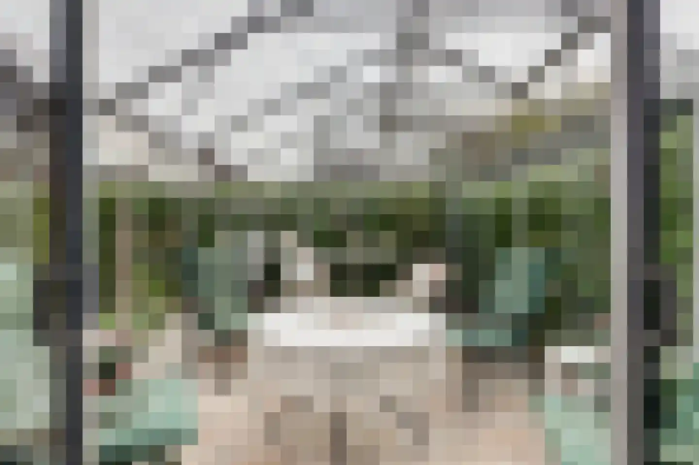 Unescostraat 15 's-Gravenzande thumbnail 45