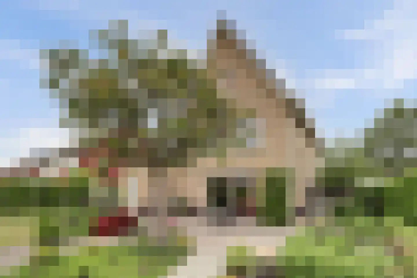 Unescostraat 15 's-Gravenzande thumbnail 47