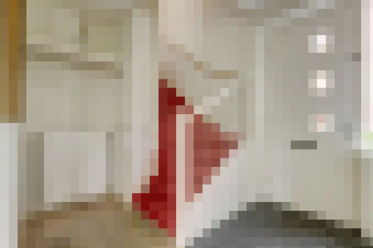 Unescostraat 15 's-Gravenzande thumbnail 6