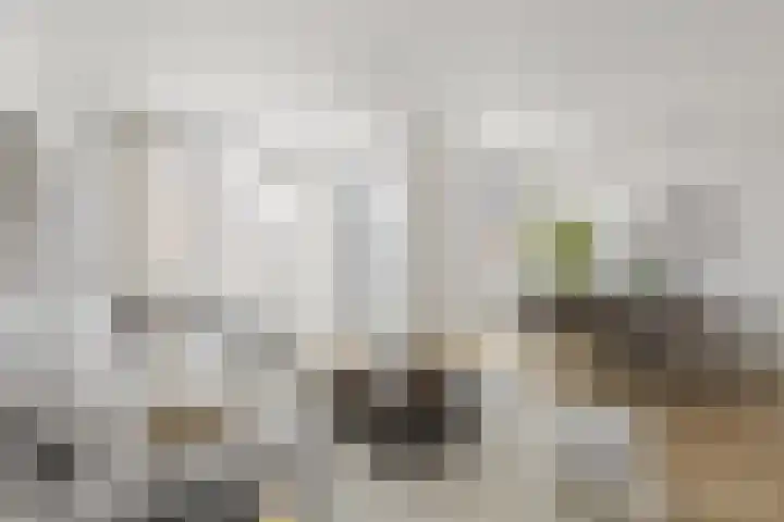 Unescostraat 68 B Heerlen thumbnail 4
