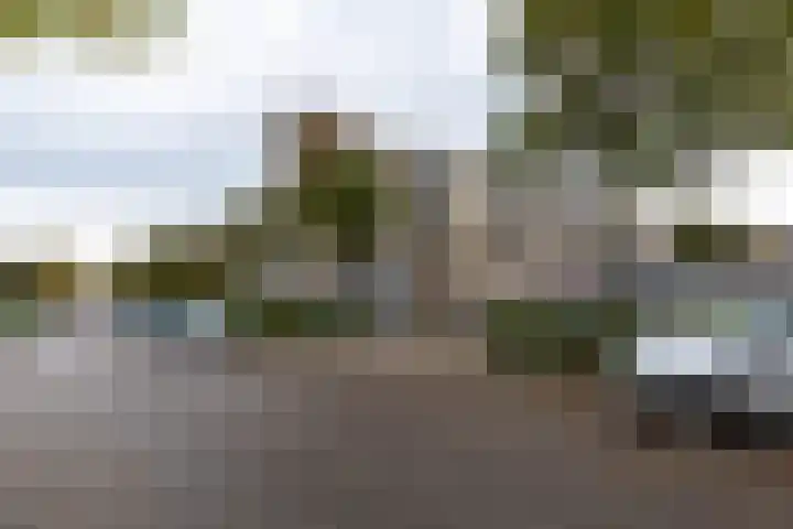 Unescostraat 68 Heerlen thumbnail 26