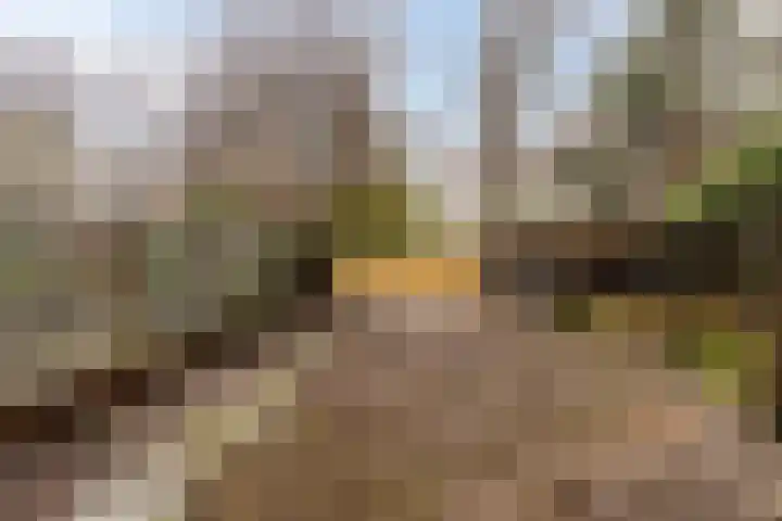 Ungerplein 5 B Rotterdam thumbnail 4