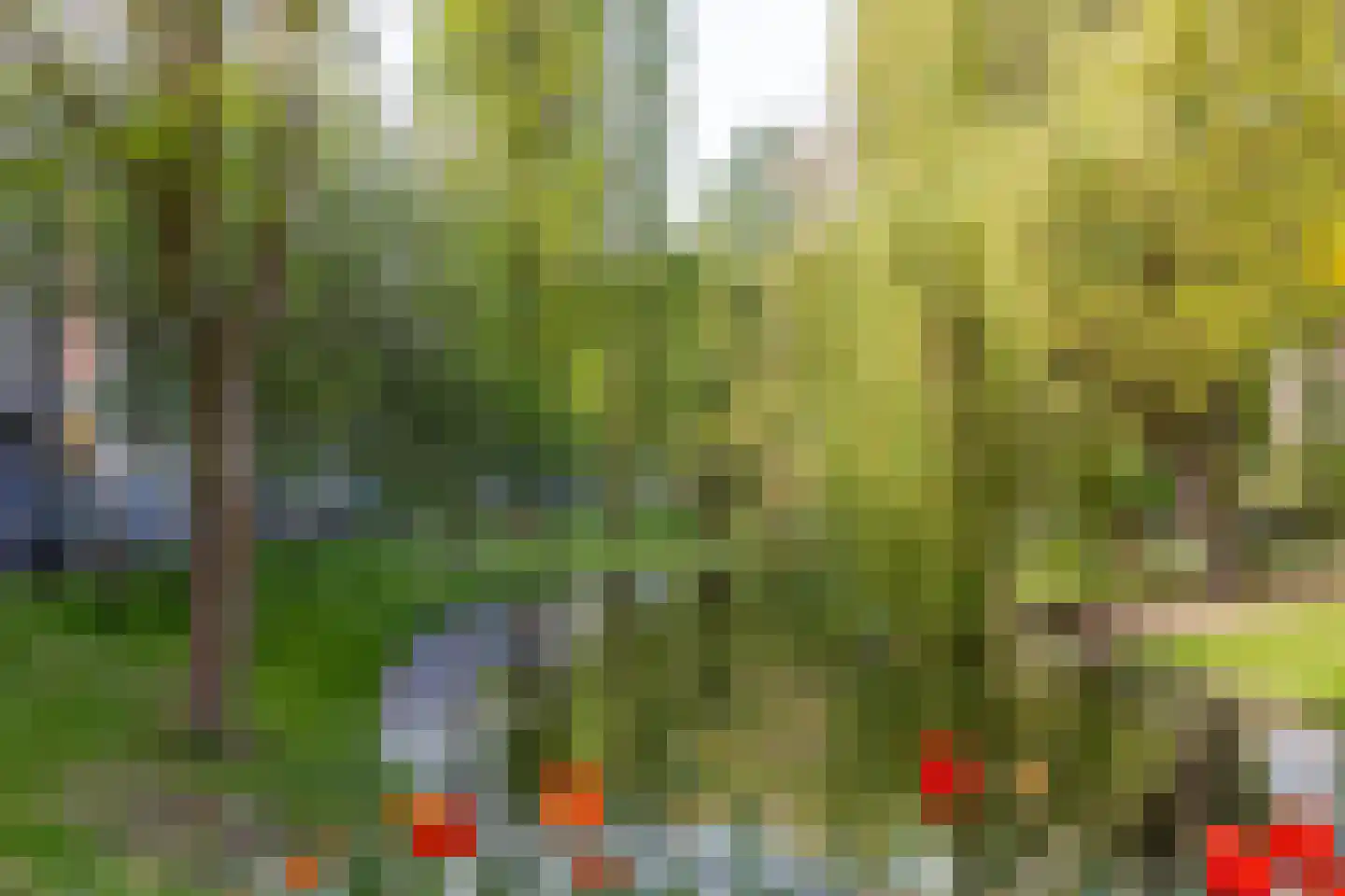 Ungerplein 9 A Rotterdam thumbnail 68